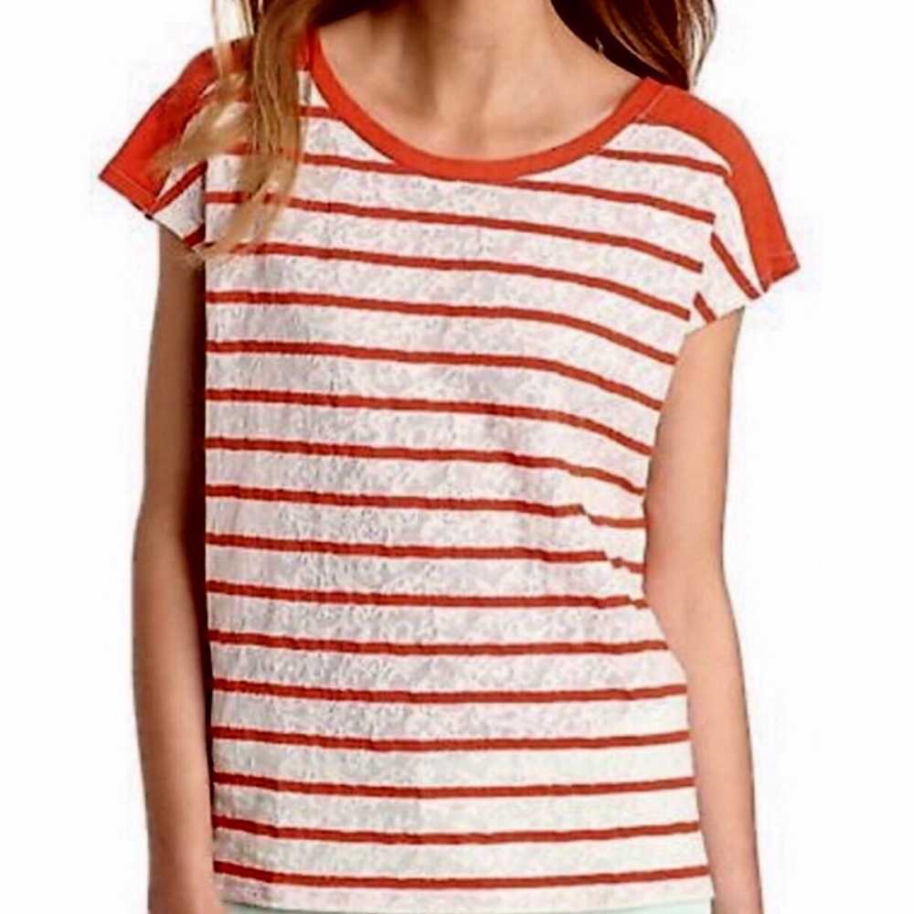 Lucky Brand SZ LG Women's Lace Cap Sleeve Stripe Seanna Dolman Top EUC - Picture 3 of 7